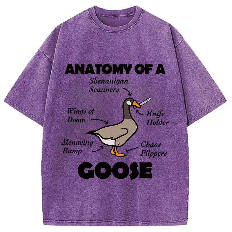 bbb Anatomy of A Goose Washed T-Shirt