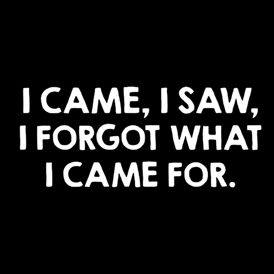 I Came and Saw Funny y T-Shirt