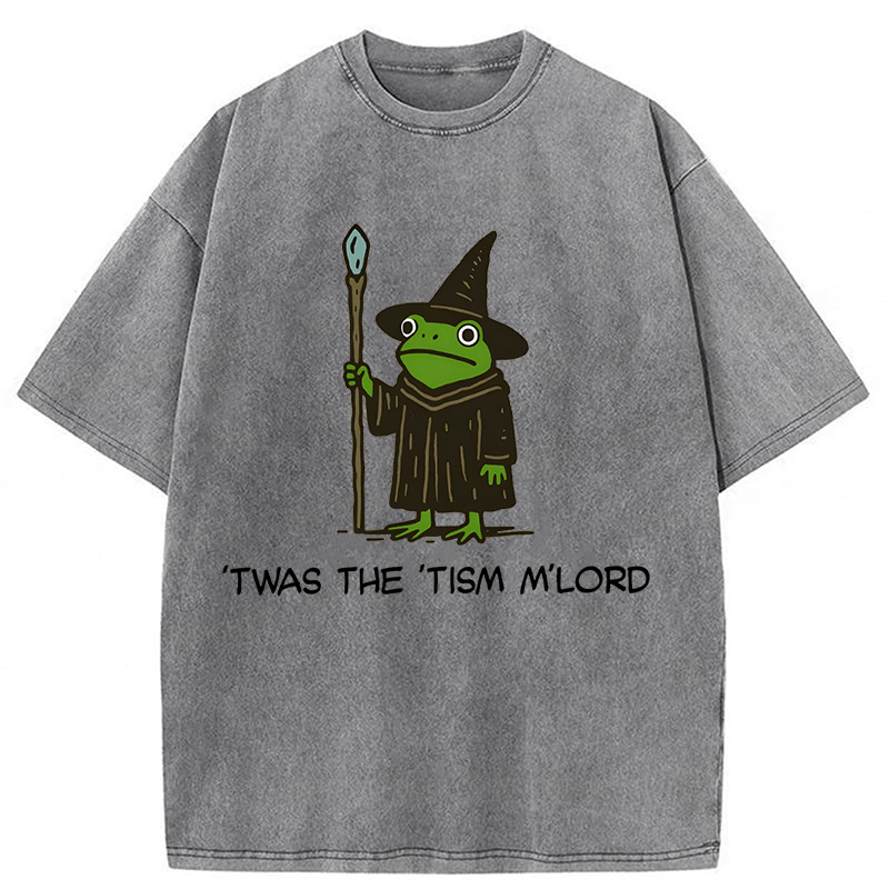 bbb Twas The Tism Frog Wizard Washed T-shirt