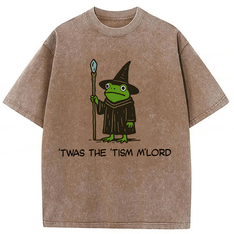 bbb Twas The Tism Frog Wizard Washed T-shirt