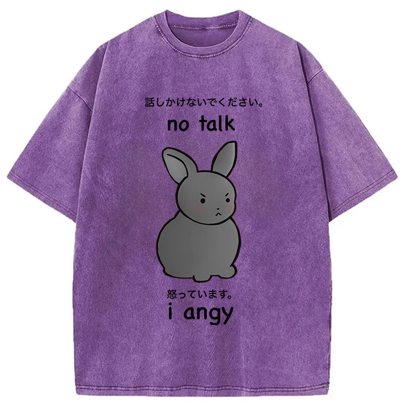 bbb No Talk I Angy Washed T-Shirt