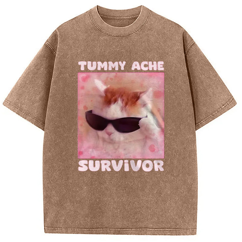 bbb Tummy Ache Survivor Funny Cat Meme Washed T-Shirt