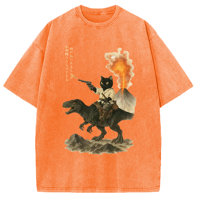 bbb Cat Riding A Dinosaur Washed T-Shirt