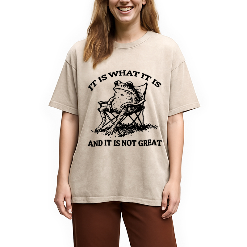 bbb Resting Frog Funny Washed T-Shirt