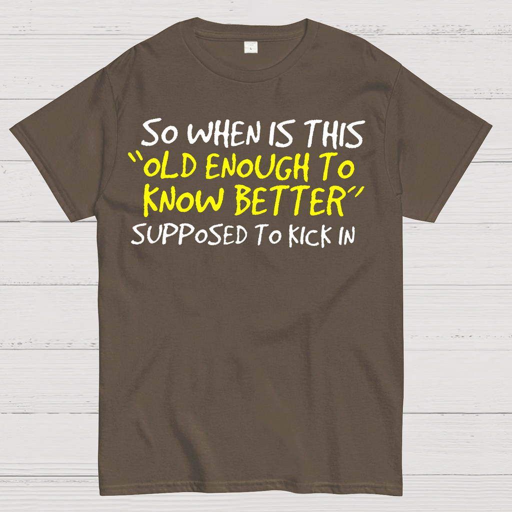 So When Is This Old Enough To Know Better Supposed To Kick In  T-Shirt