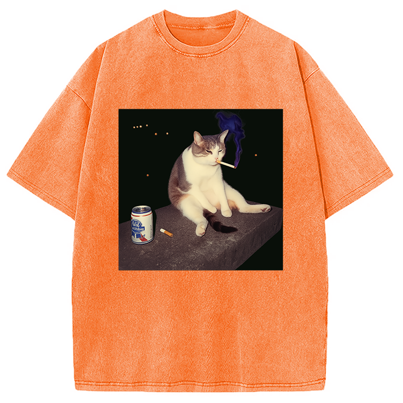 bbb Cigarette Kitten Funny Smoking Cat Meme Washed T-Shirt