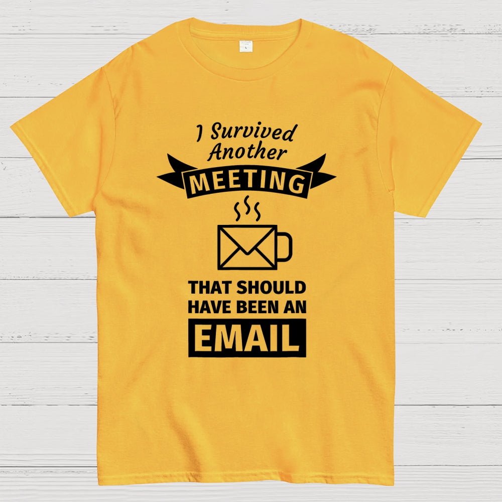 This meeting should’ve been an email  T-Shirt