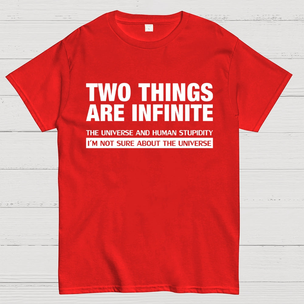 Infinite Stupidity  T-Shirt