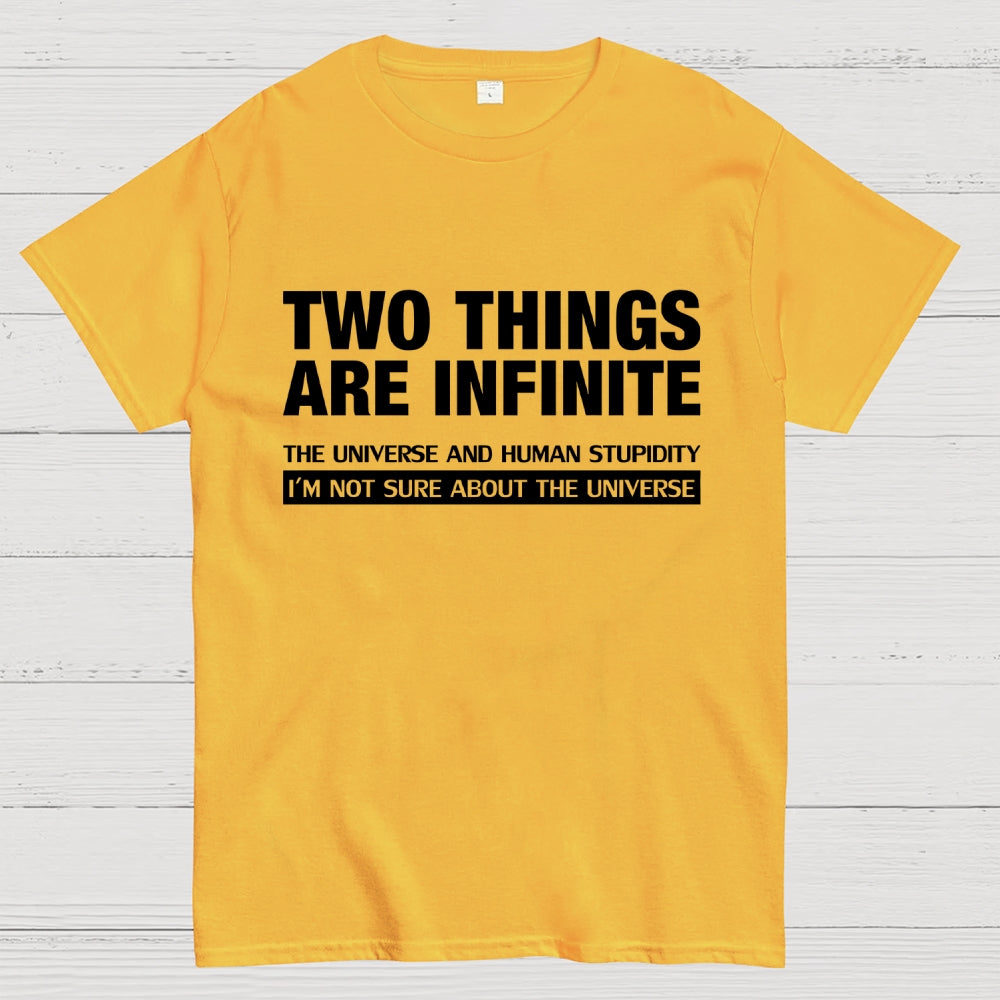 Infinite Stupidity  T-Shirt