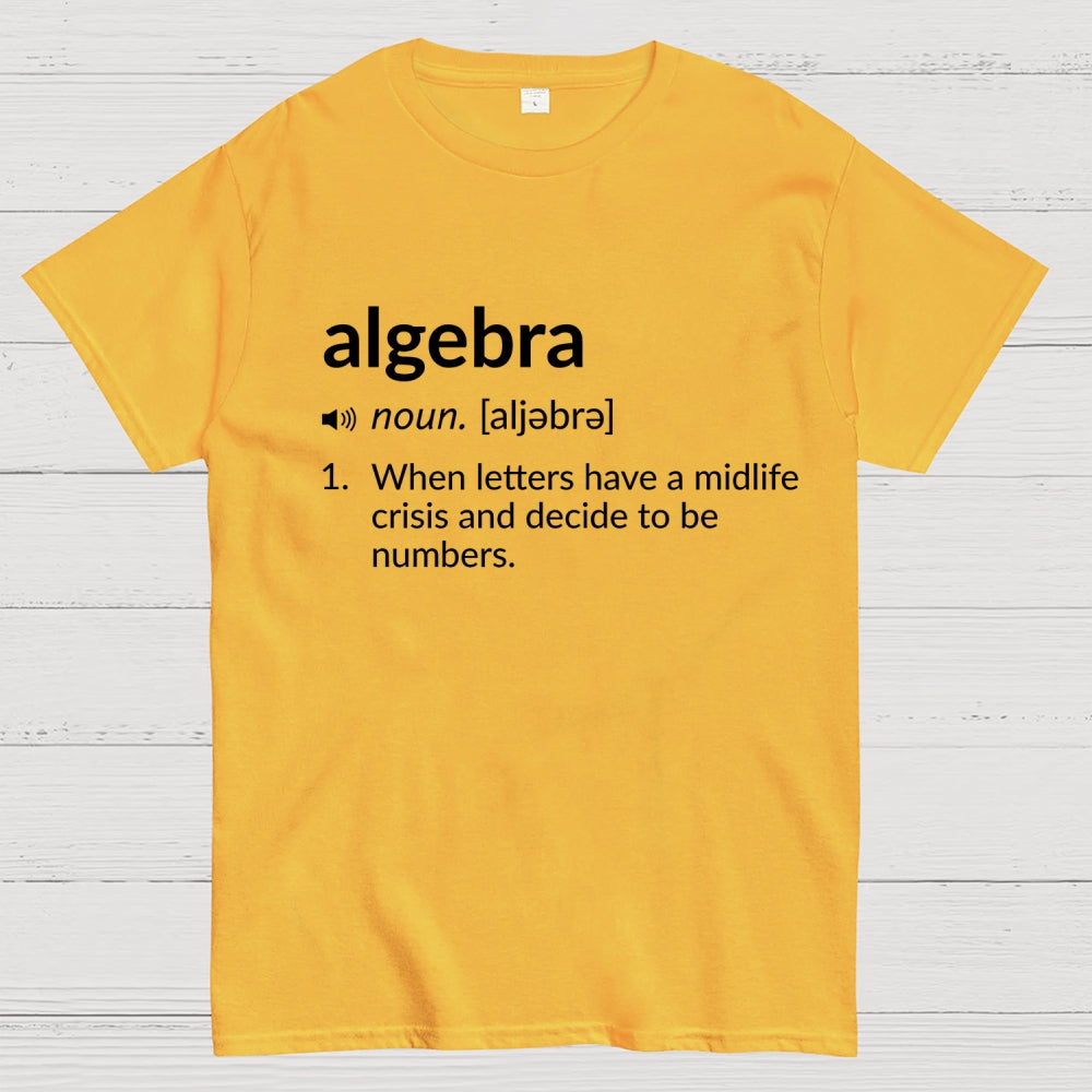 Funny Definition  Algebra Greeting  T-Shirt