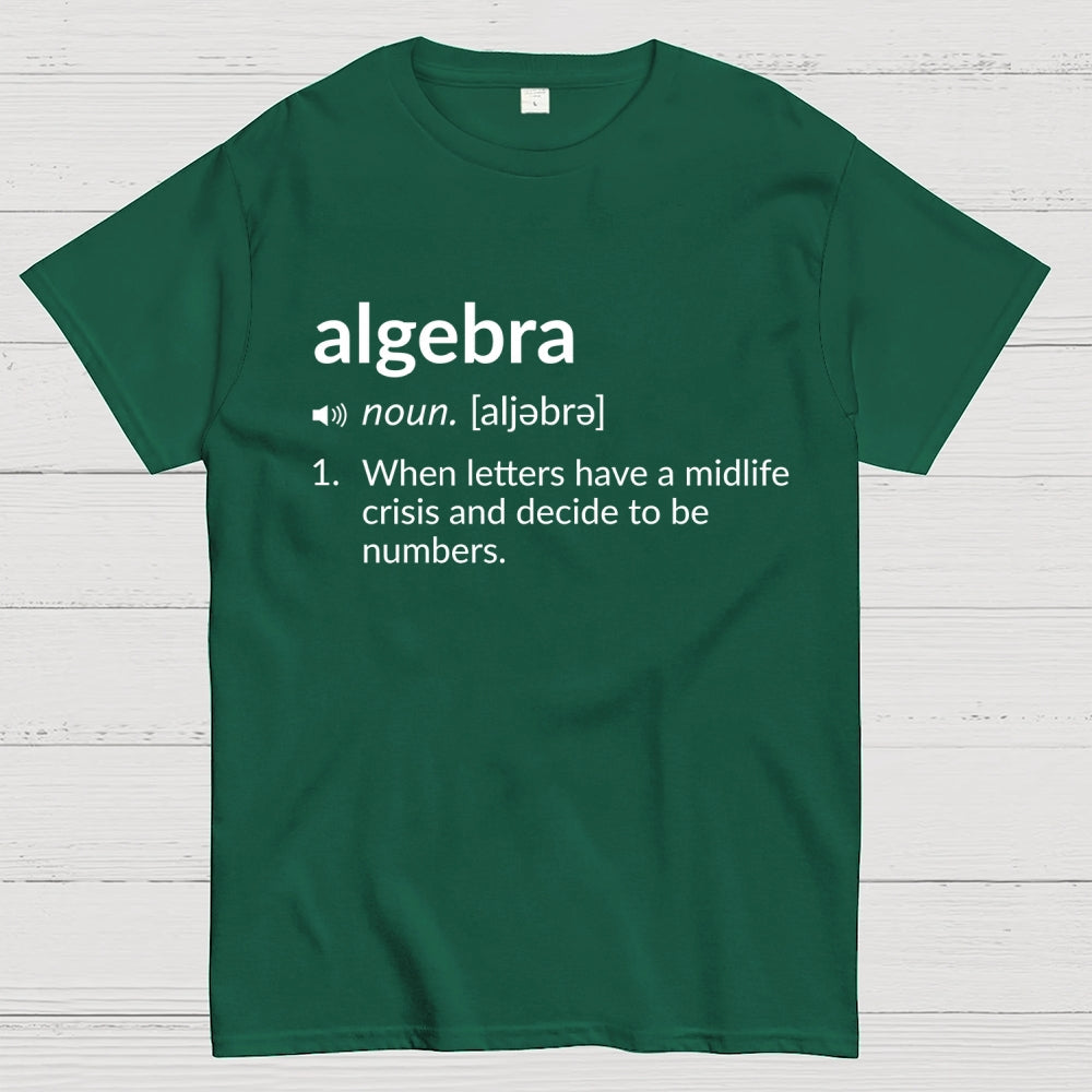 Funny Definition  Algebra Greeting  T-Shirt