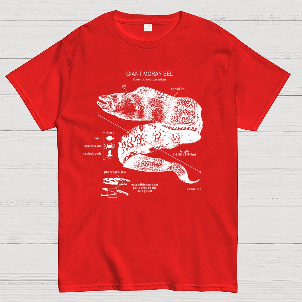 Moray Eel Anatomy  T-Shirt
