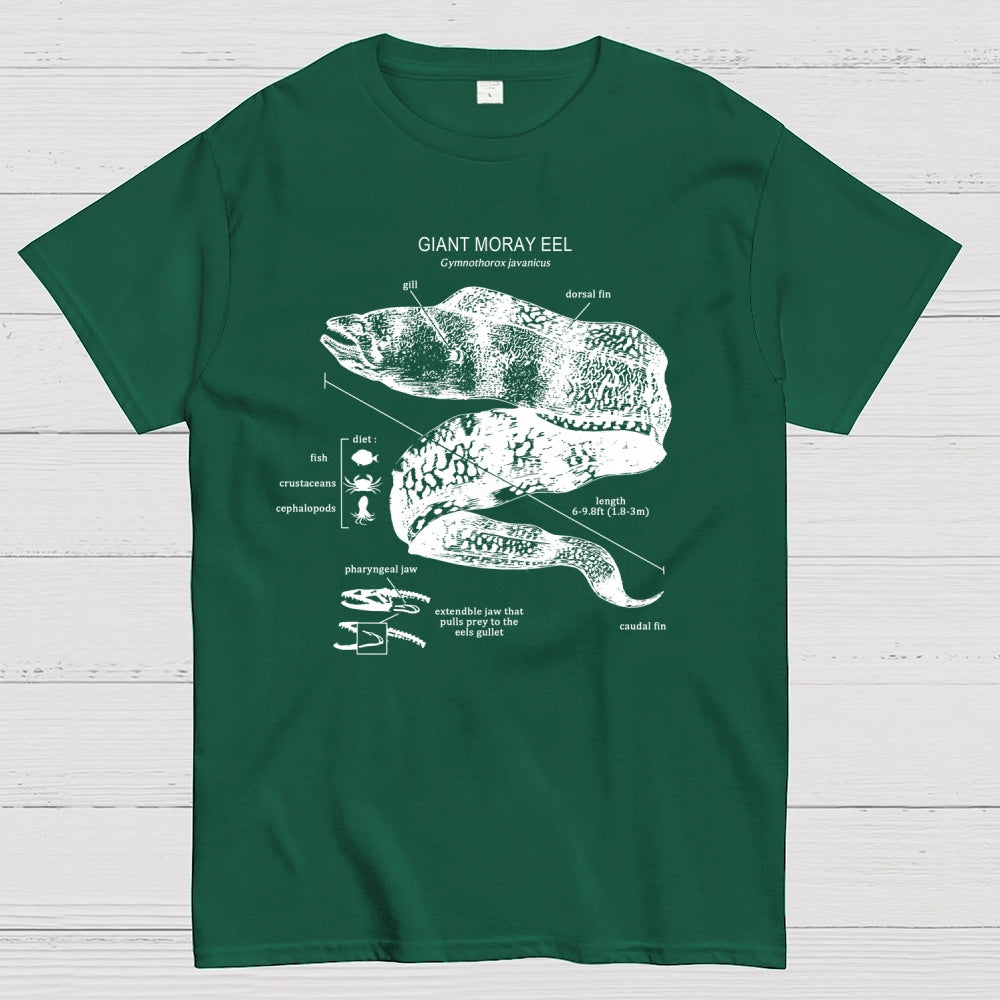 Moray Eel Anatomy  T-Shirt