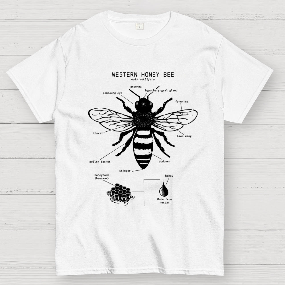 Hand-drawn anatomical diagram of bees  T-Shirt