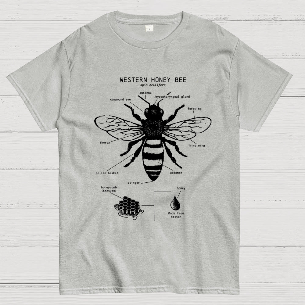 Hand-drawn anatomical diagram of bees  T-Shirt