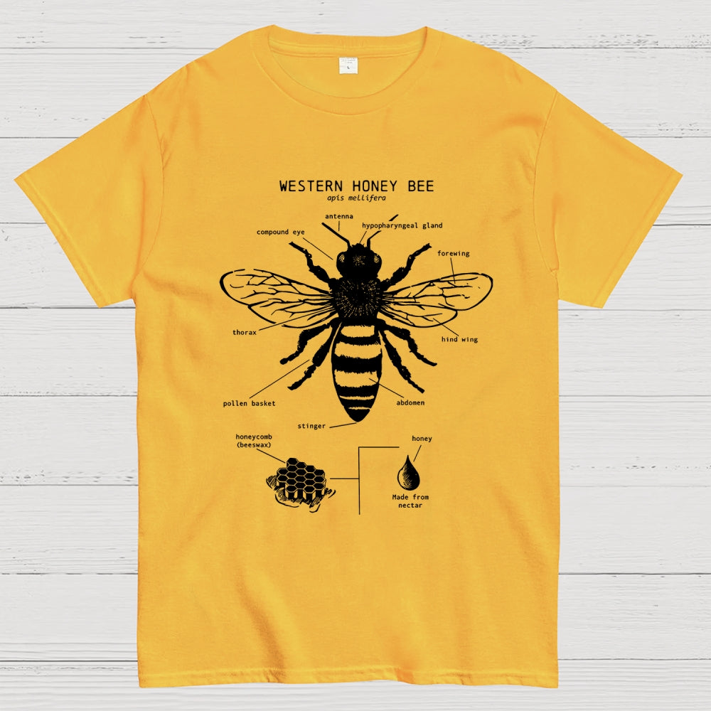 Hand-drawn anatomical diagram of bees  T-Shirt