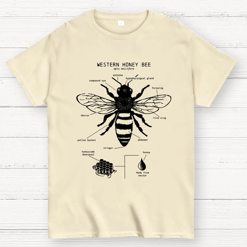 Hand-drawn anatomical diagram of bees  T-Shirt