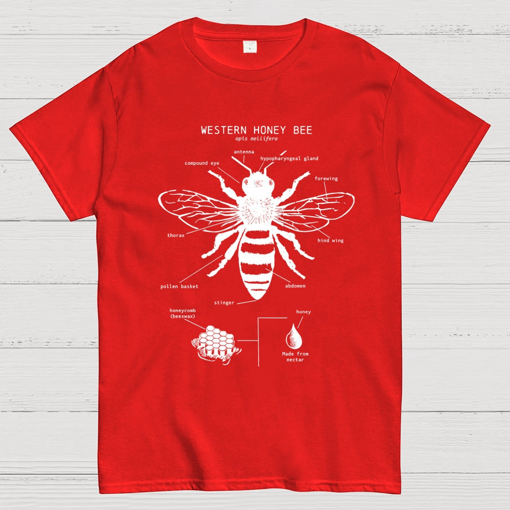 Hand-drawn anatomical diagram of bees  T-Shirt