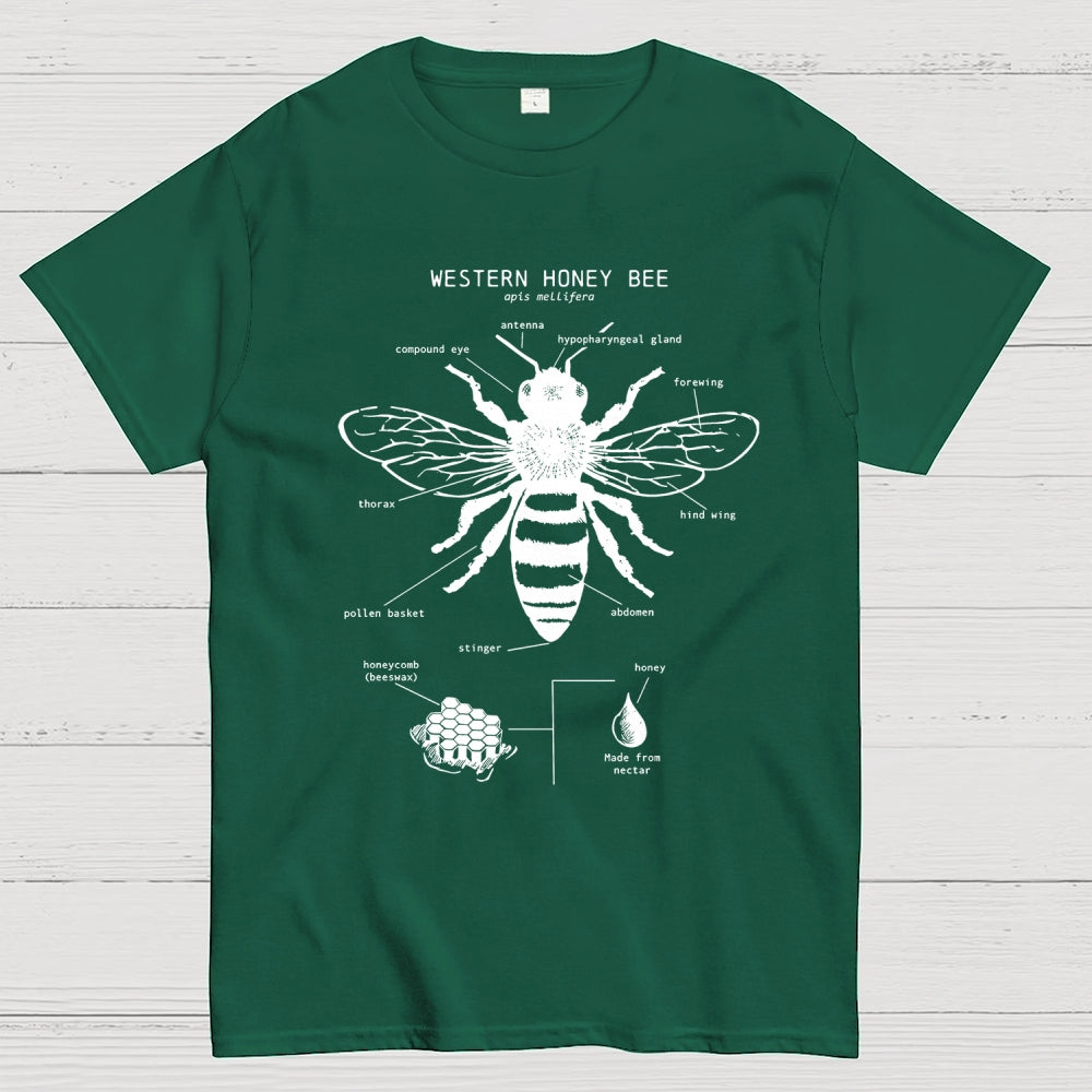Hand-drawn anatomical diagram of bees  T-Shirt