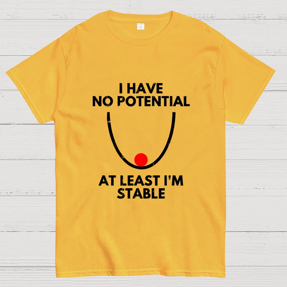 I Have No Potential At Least I'm Stable  T-Shirt