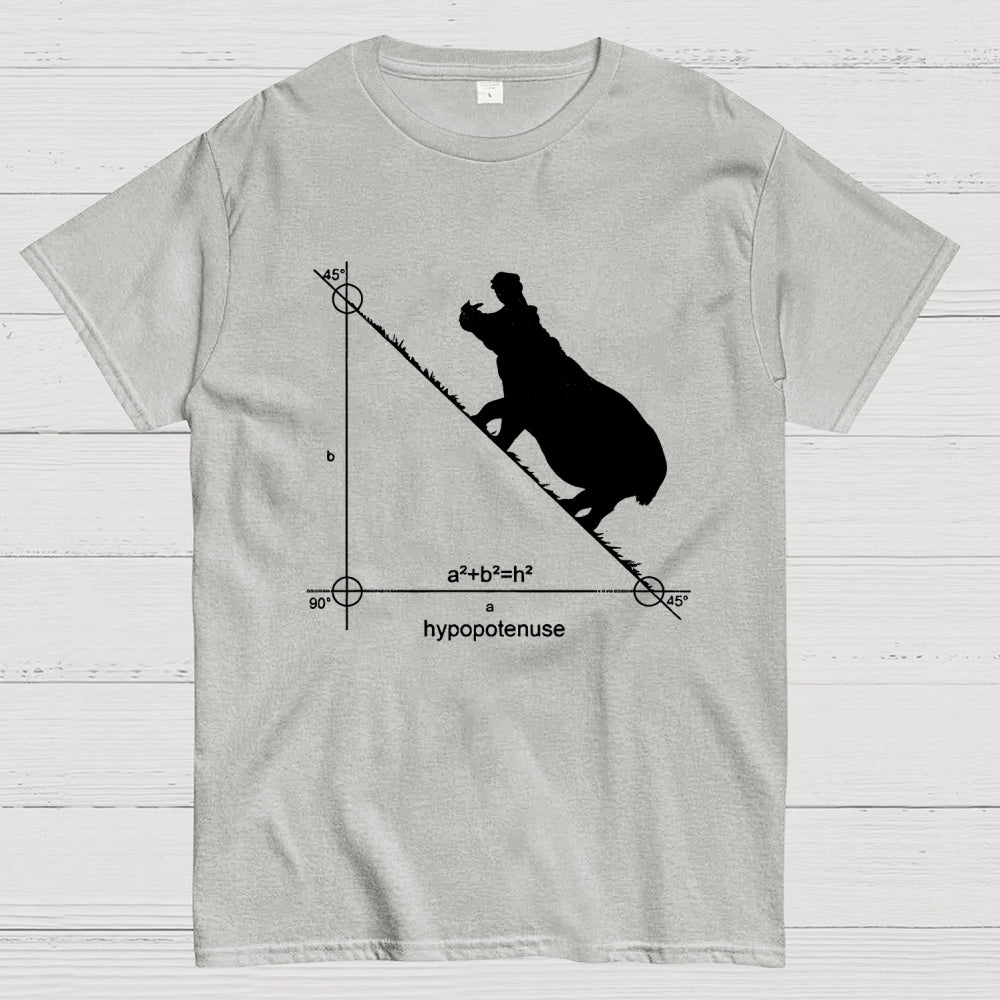 Hypopotenuse  T-Shirt
