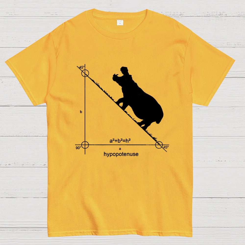 Hypopotenuse  T-Shirt