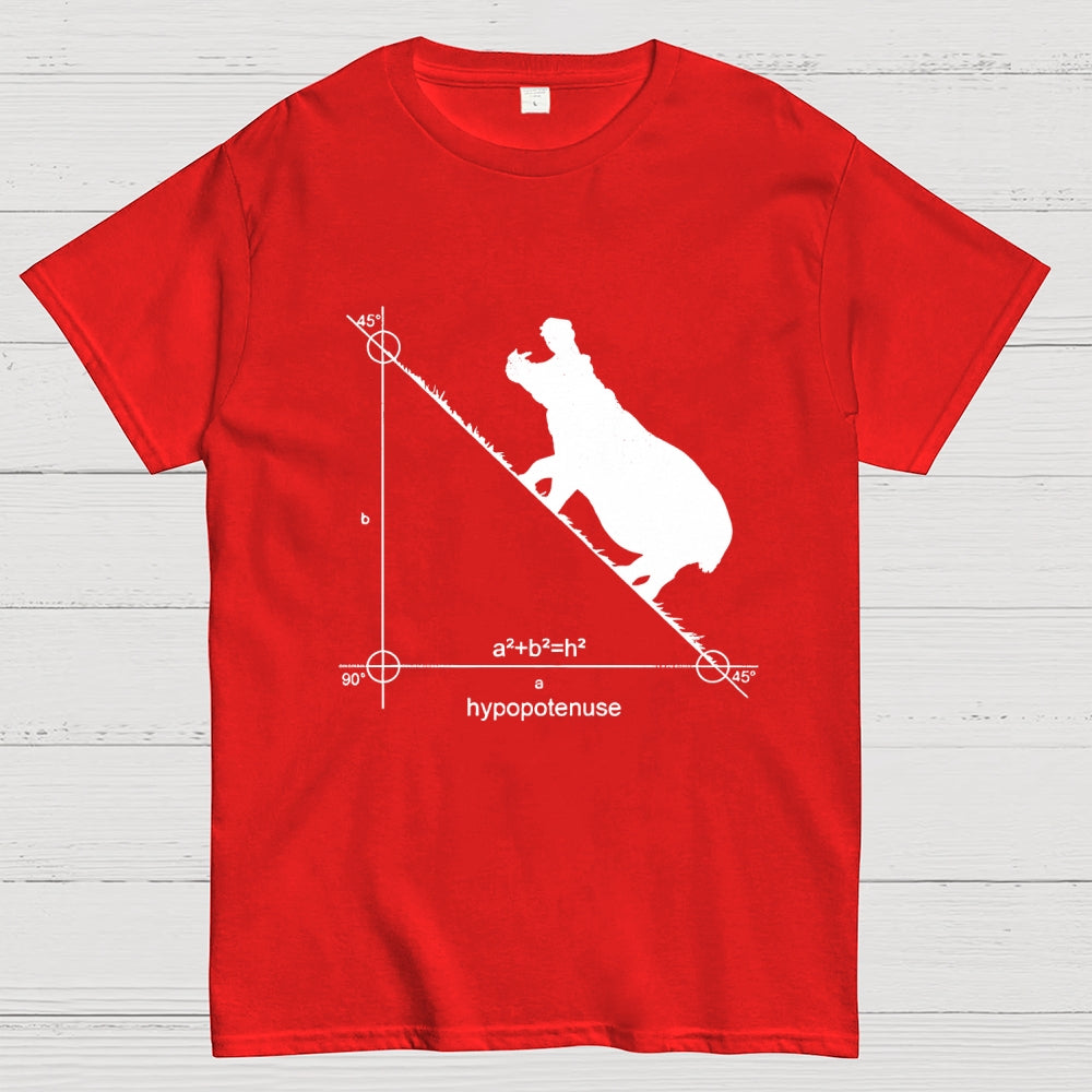 Hypopotenuse  T-Shirt