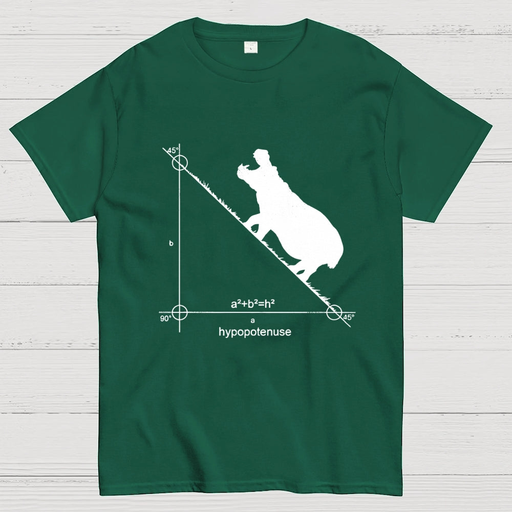 Hypopotenuse  T-Shirt