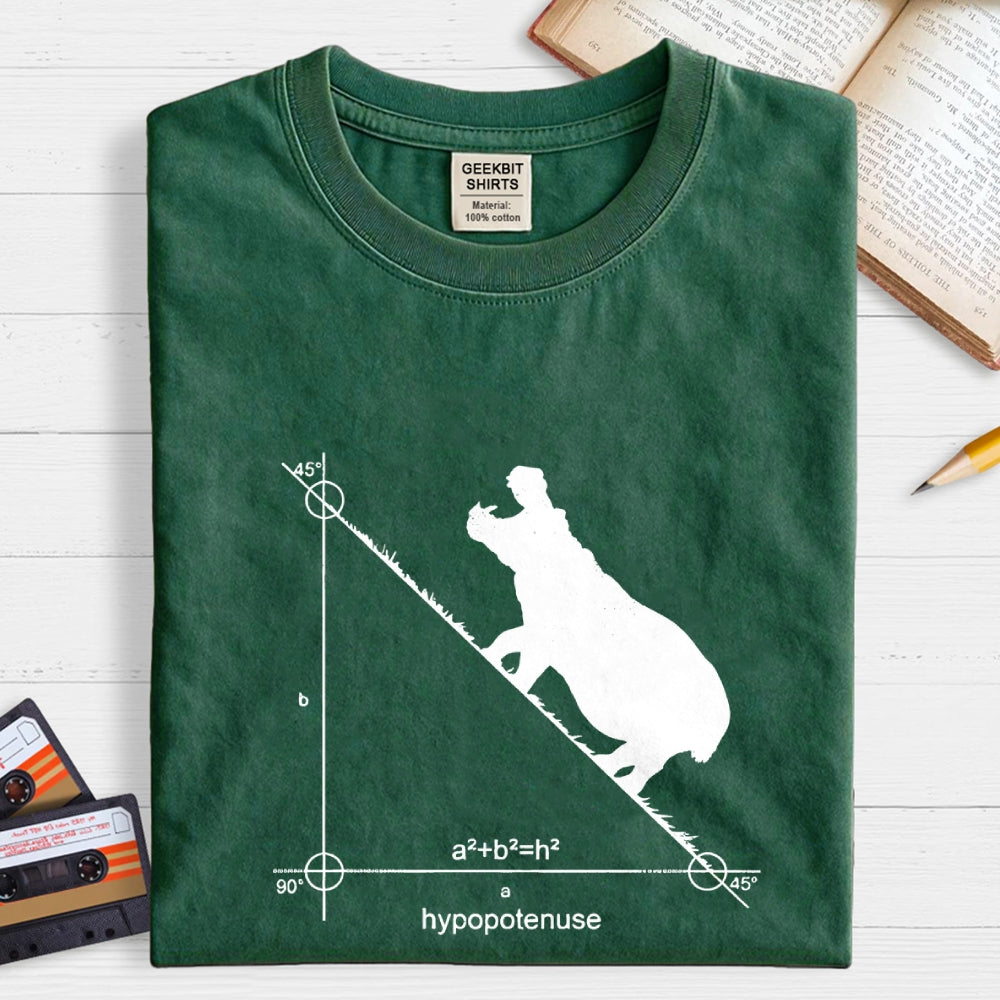 Hypopotenuse  T-Shirt
