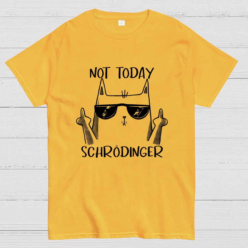 Schrödinger Not Today  T-Shirt