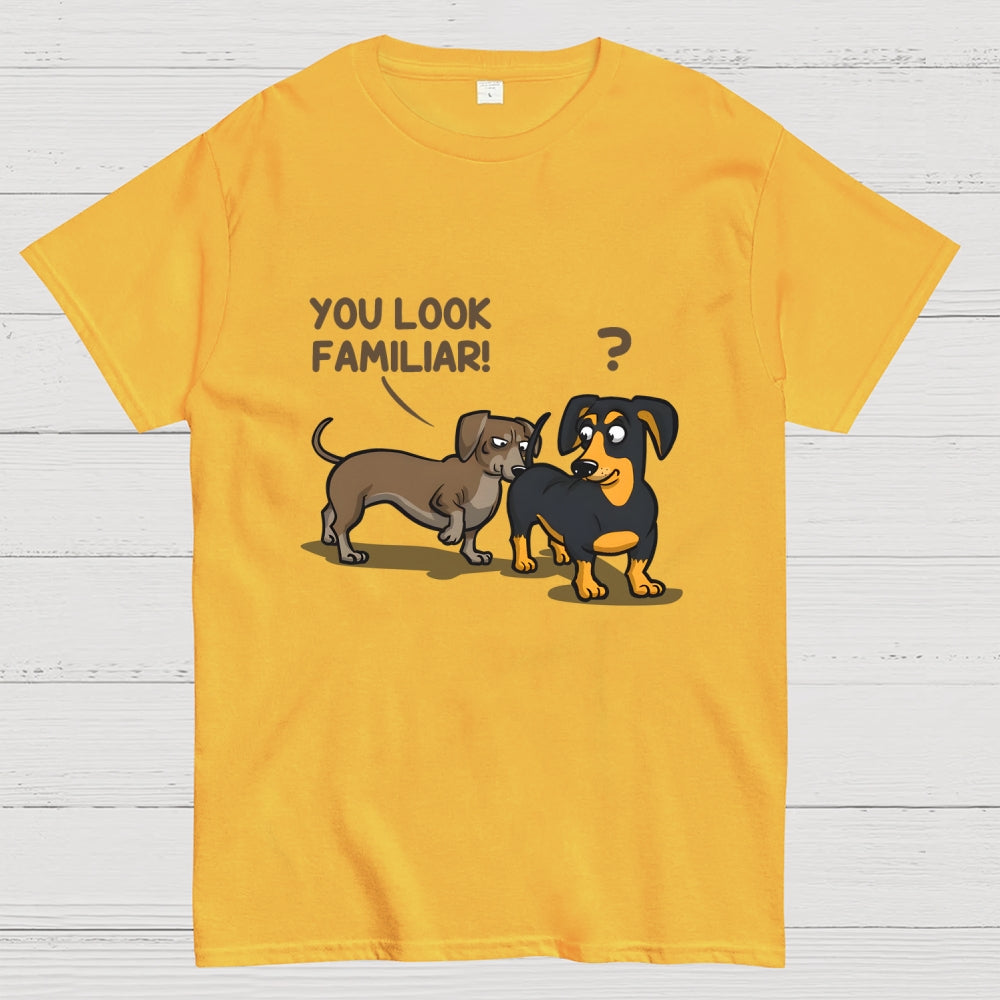 You Look Familiar  T-Shirt