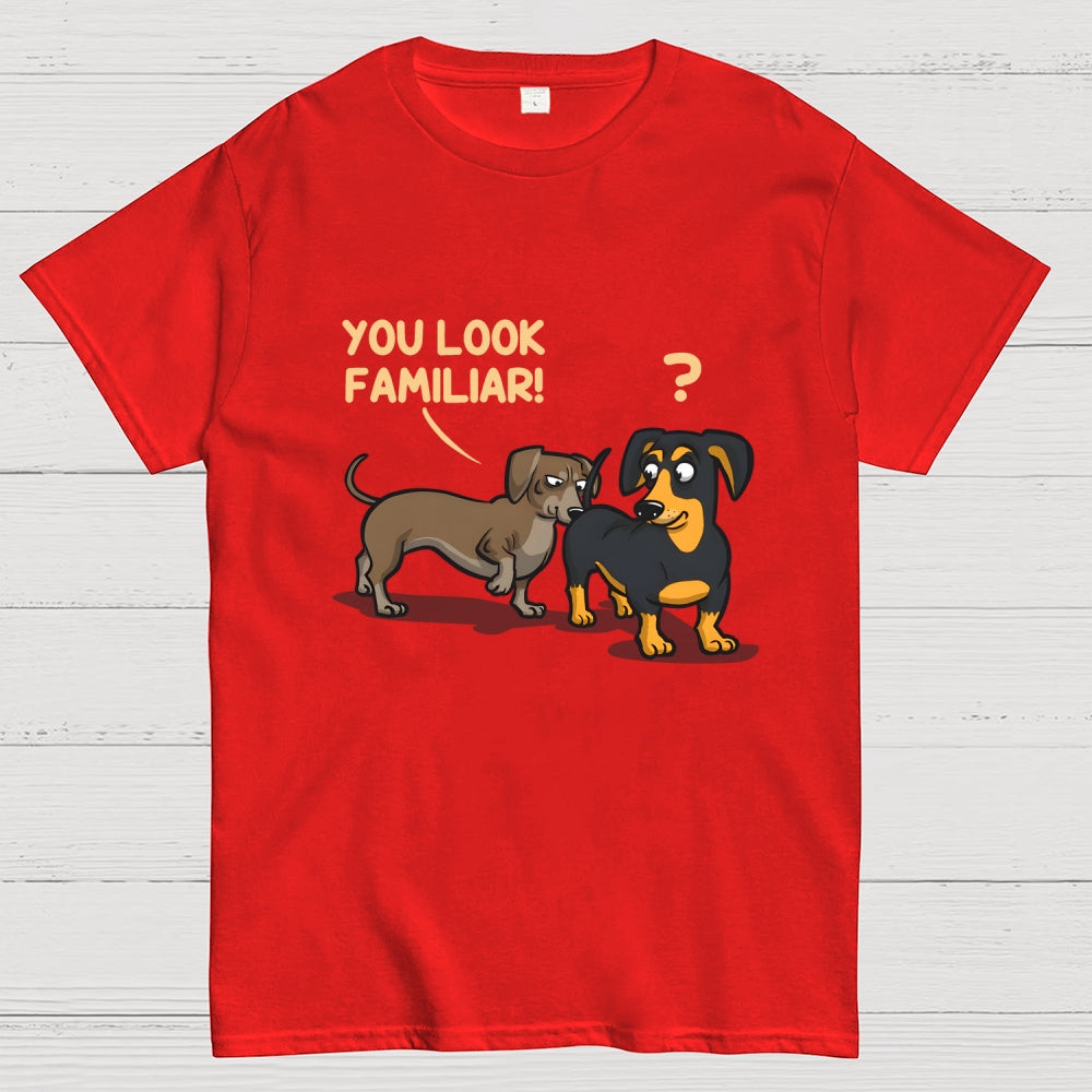 You Look Familiar  T-Shirt