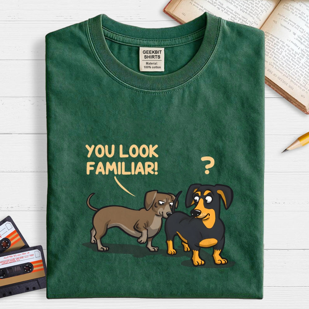 You Look Familiar  T-Shirt