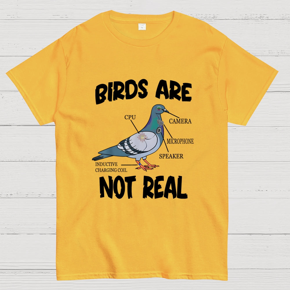 Birds Aren't Real  T-Shirt