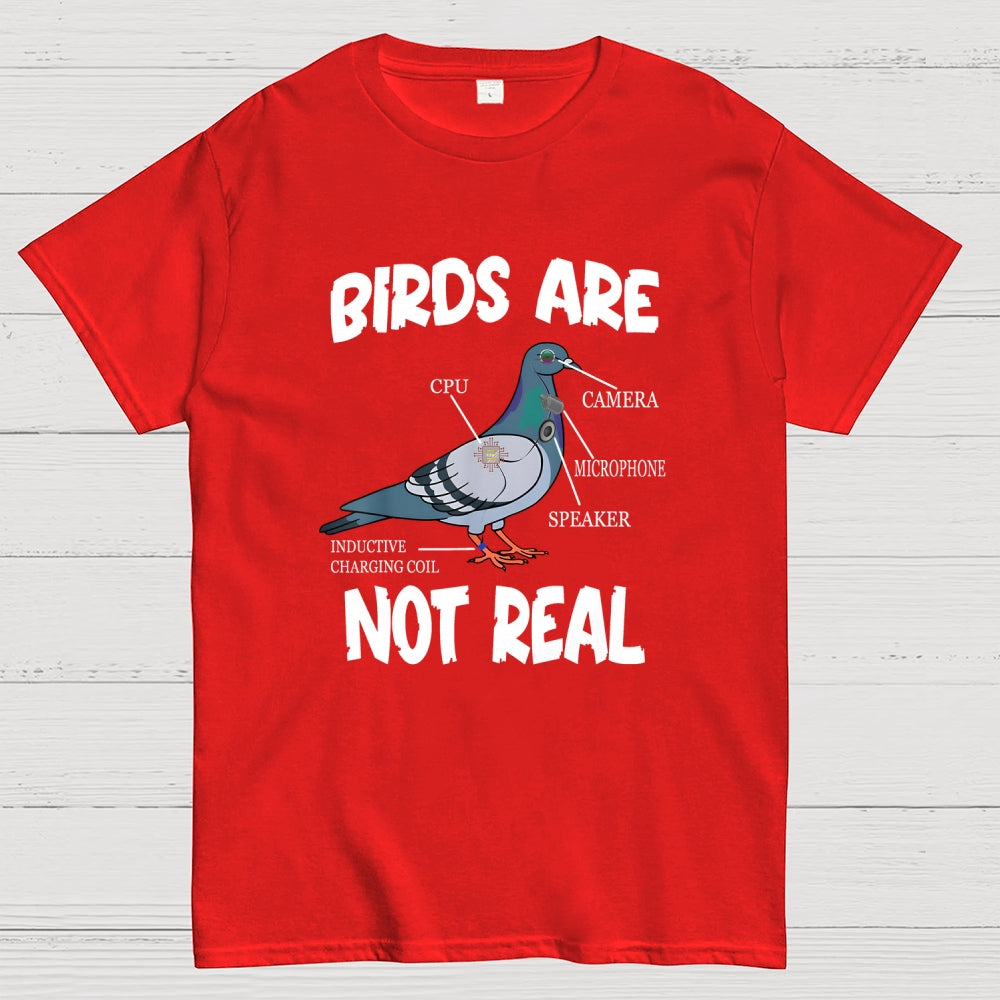 Birds Aren't Real  T-Shirt