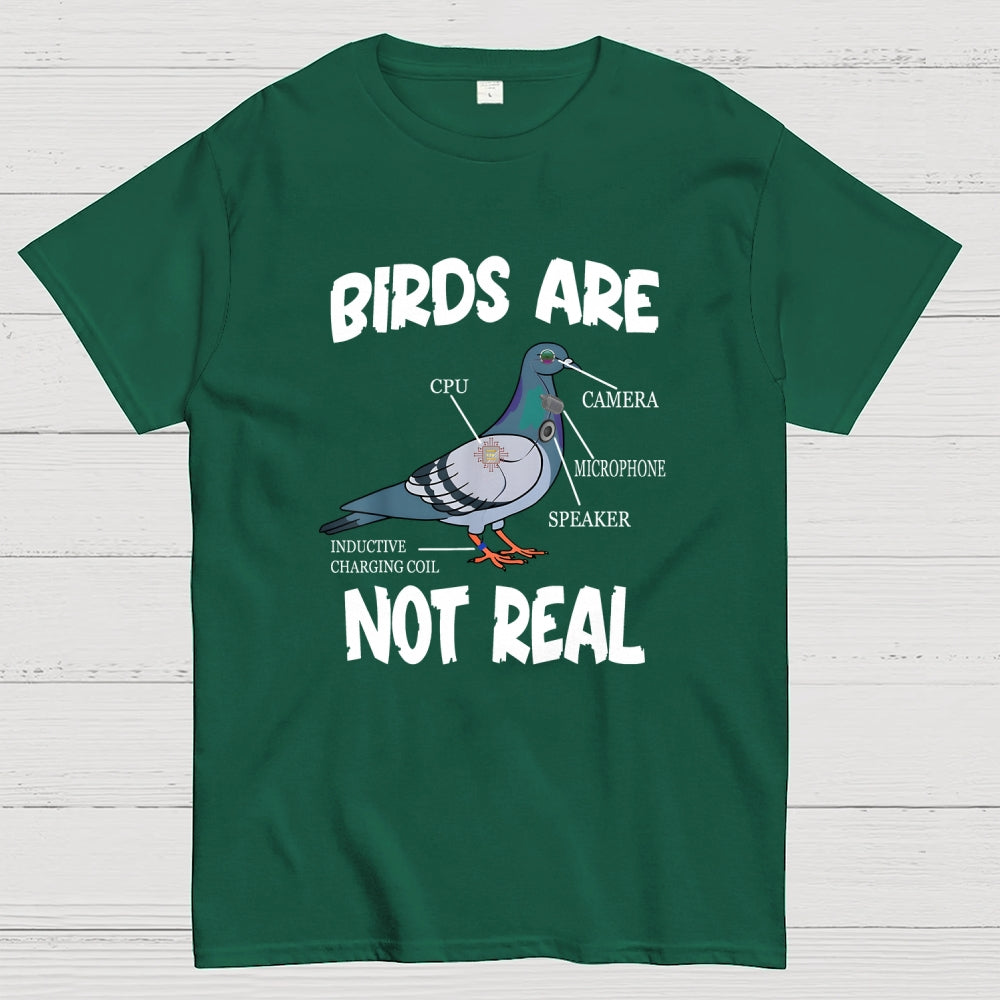 Birds Aren't Real  T-Shirt