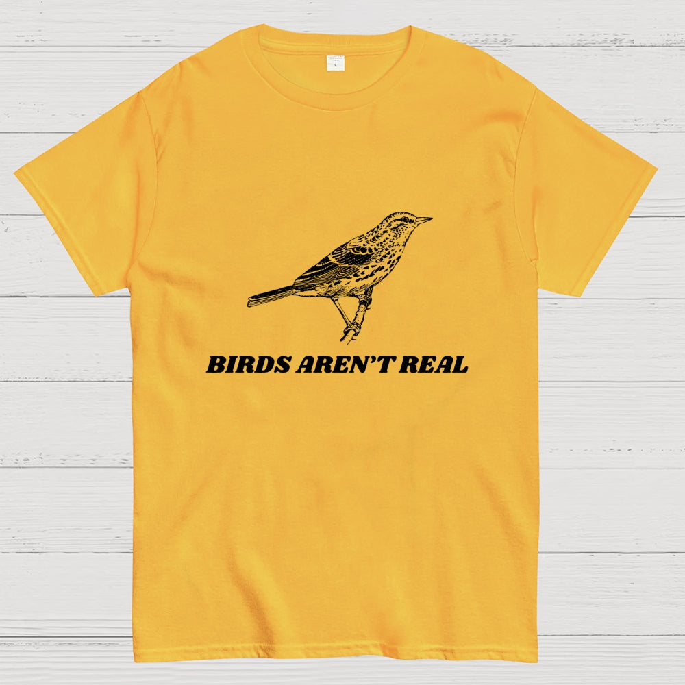 Birds Aren't Real   T-Shirt