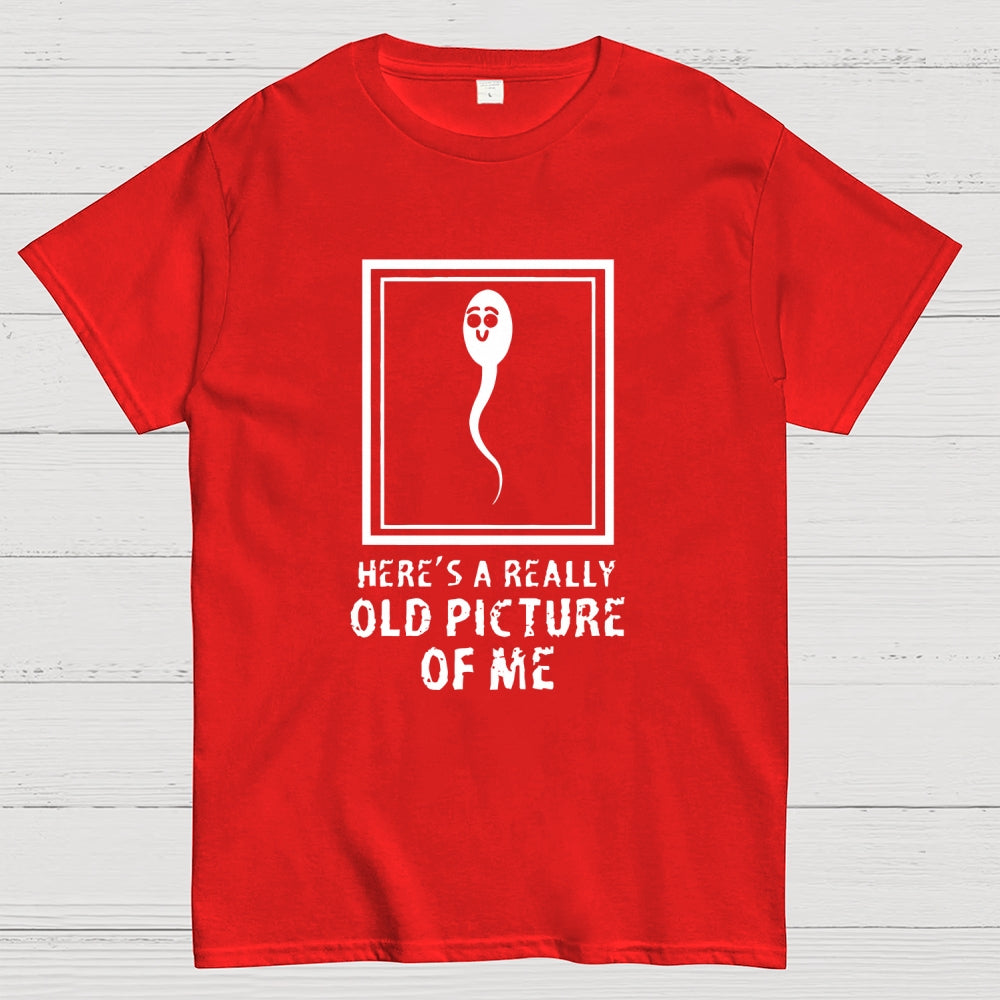 Here's A Really Old Picture Of Me  T-Shirt