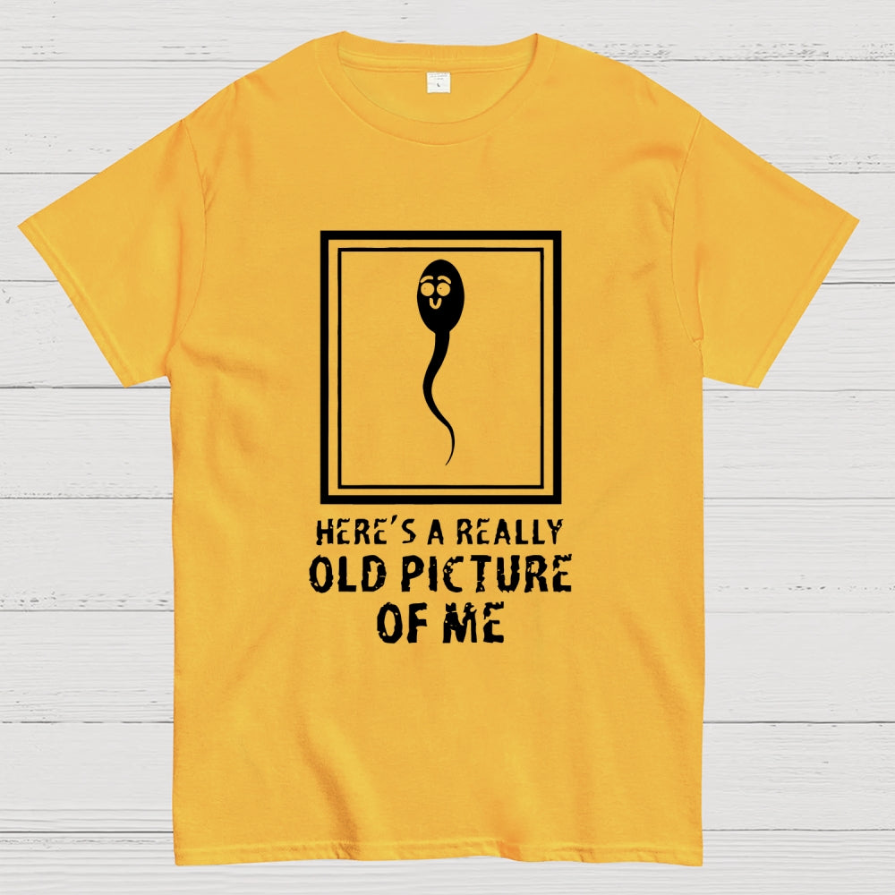Here's A Really Old Picture Of Me  T-Shirt