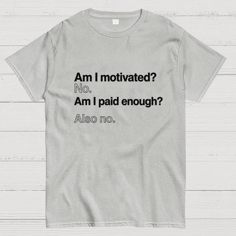 Am I motivated？ No. Am I paid enough？ Also no.  T-Shirt