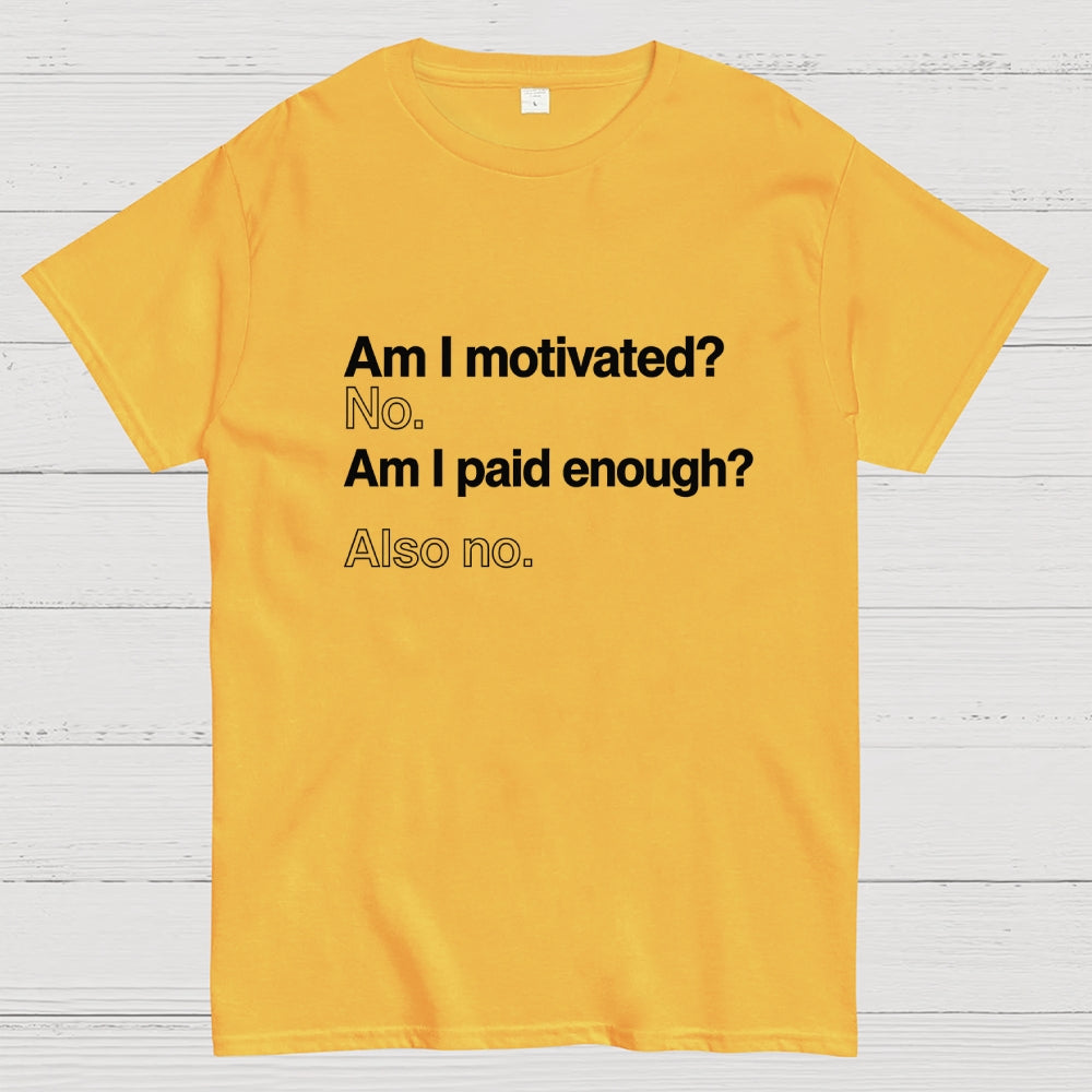 Am I motivated？ No. Am I paid enough？ Also no.  T-Shirt