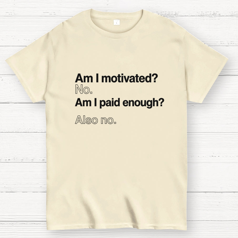Am I motivated？ No. Am I paid enough？ Also no.  T-Shirt