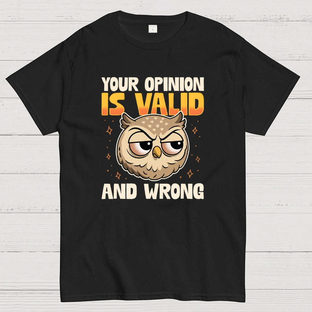 Valid But Wrong  T-Shirt