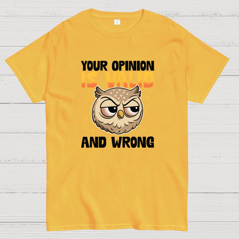 Valid But Wrong  T-Shirt