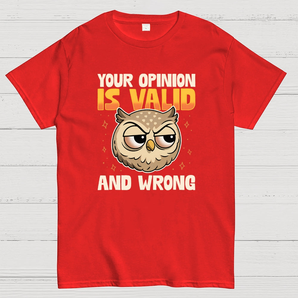 Valid But Wrong  T-Shirt