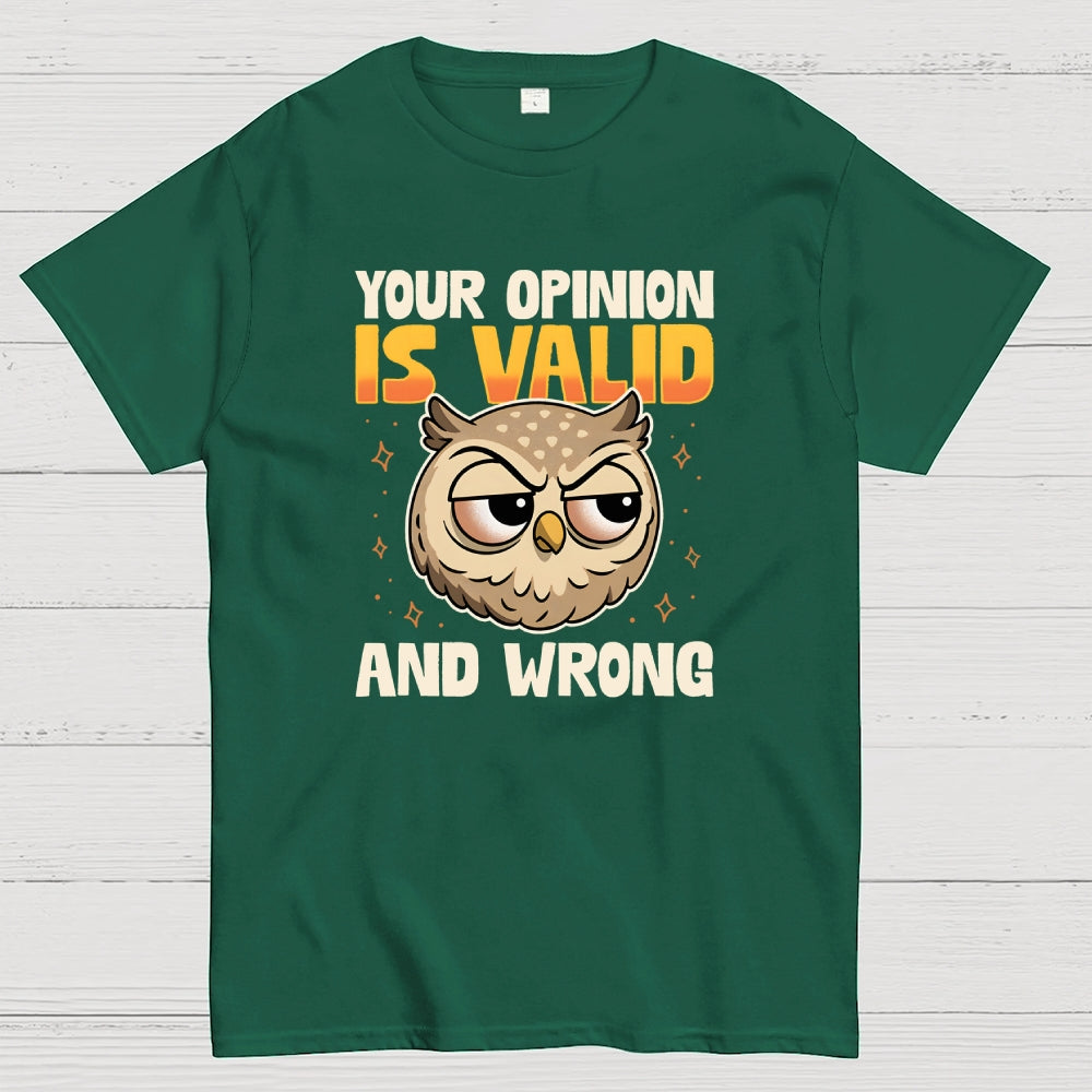 Valid But Wrong  T-Shirt