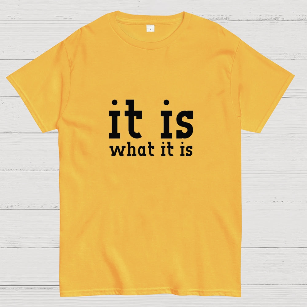 It Is What It Is  T-Shirt
