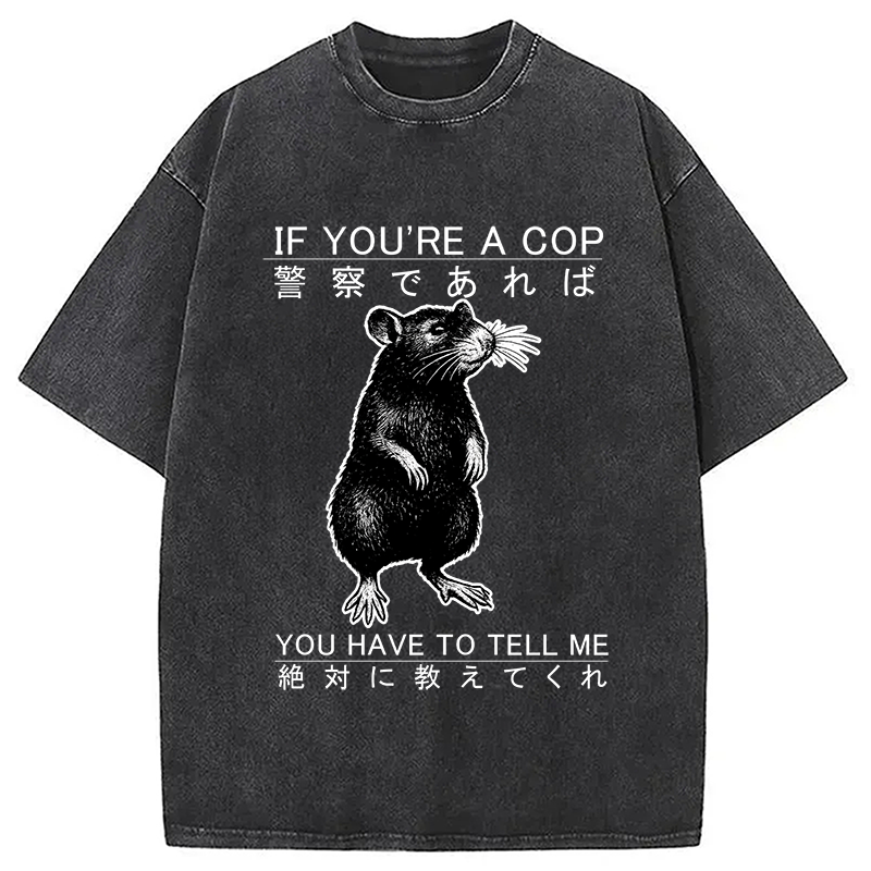 bbb If You're A Cop Japanese Rat Washed T-Shirt