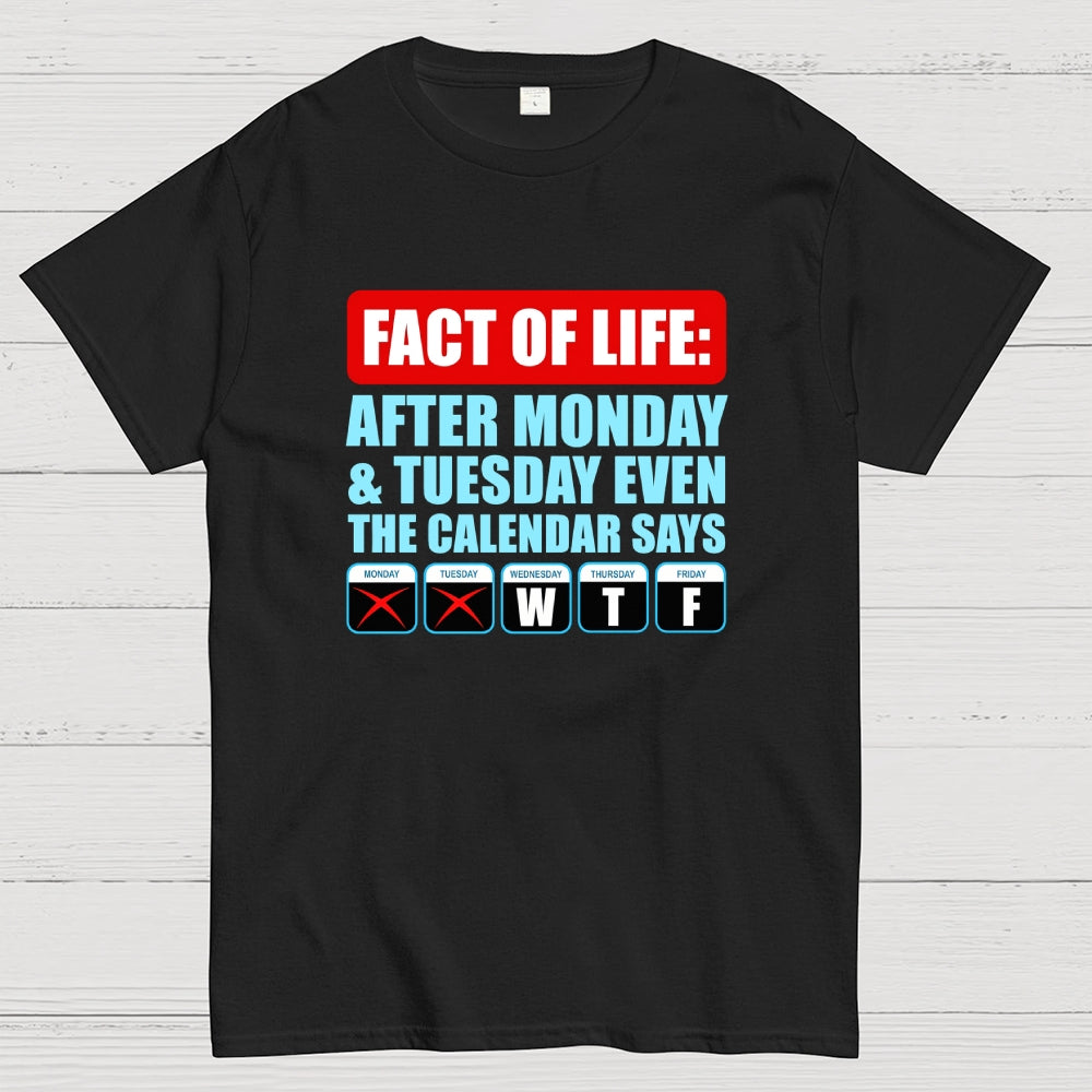 After Monday And Tuesday Even The Calendar Says WTF  T-Shirt