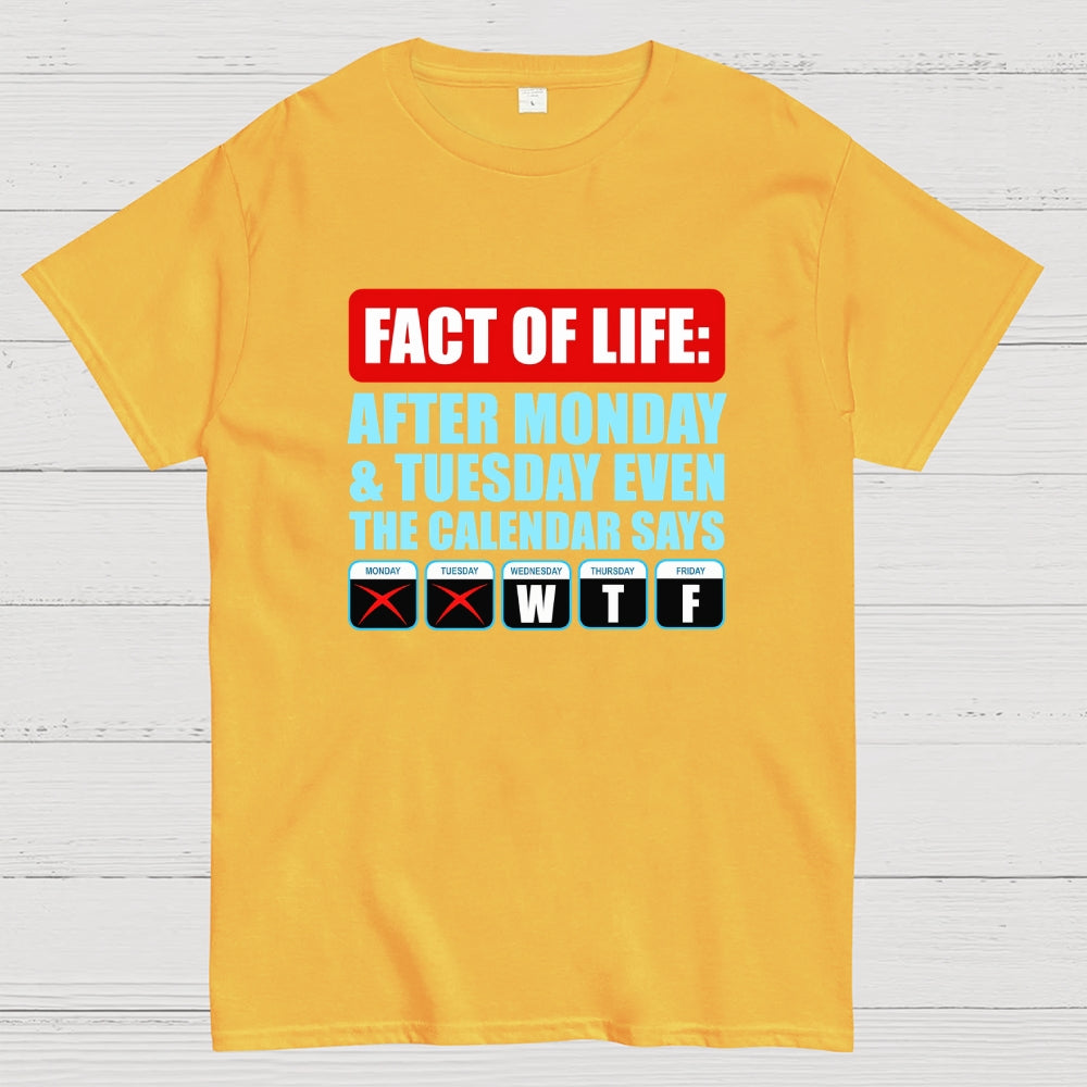 After Monday And Tuesday Even The Calendar Says WTF  T-Shirt